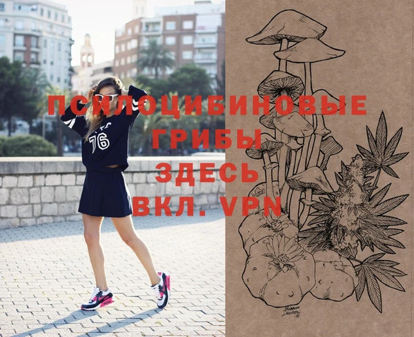 тгк Лагань