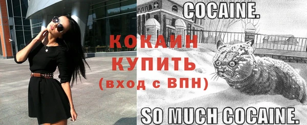 стаф Лихославль