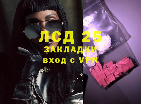 спайс Ладушкин