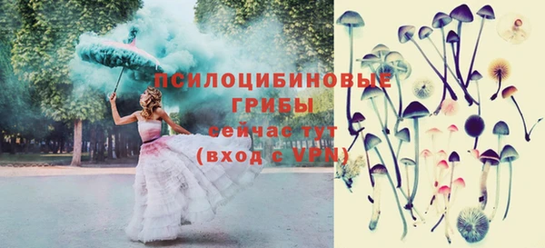 тгк Лагань