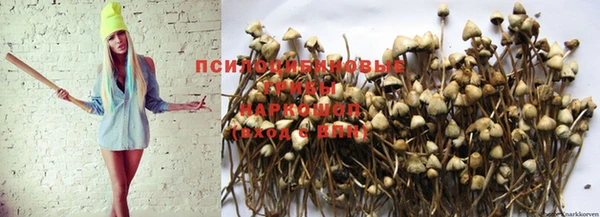 тгк Лагань