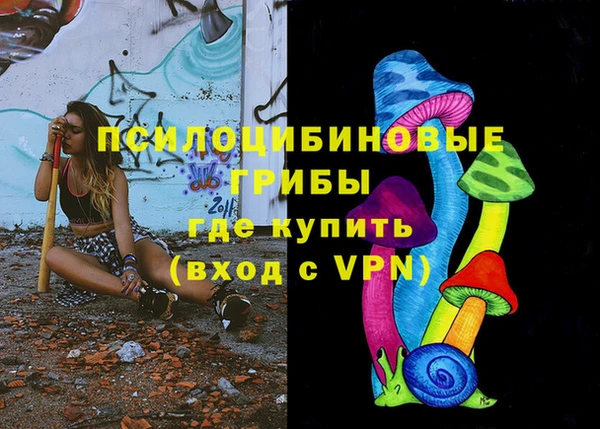 спайс Ладушкин