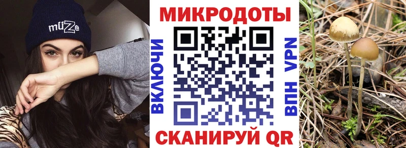 KRAKEN сайт  Мариинский Посад  Псилоцибиновые грибы Cubensis 